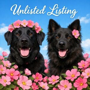 Unlisted Listing #27